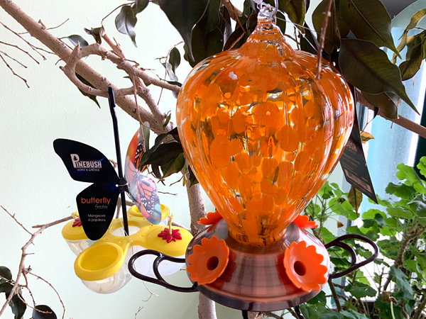 Pinebush Butteryfly Feeders