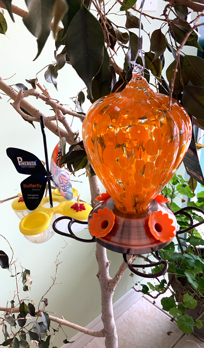 butterfly feeder, pollinators, hummingbird feeder