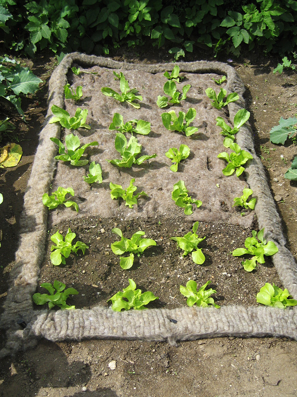 Colourful Winter Protection Mats